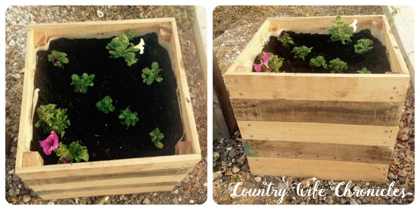 Container Gardening: DIY Planter box from pallets - Foxy Folksy